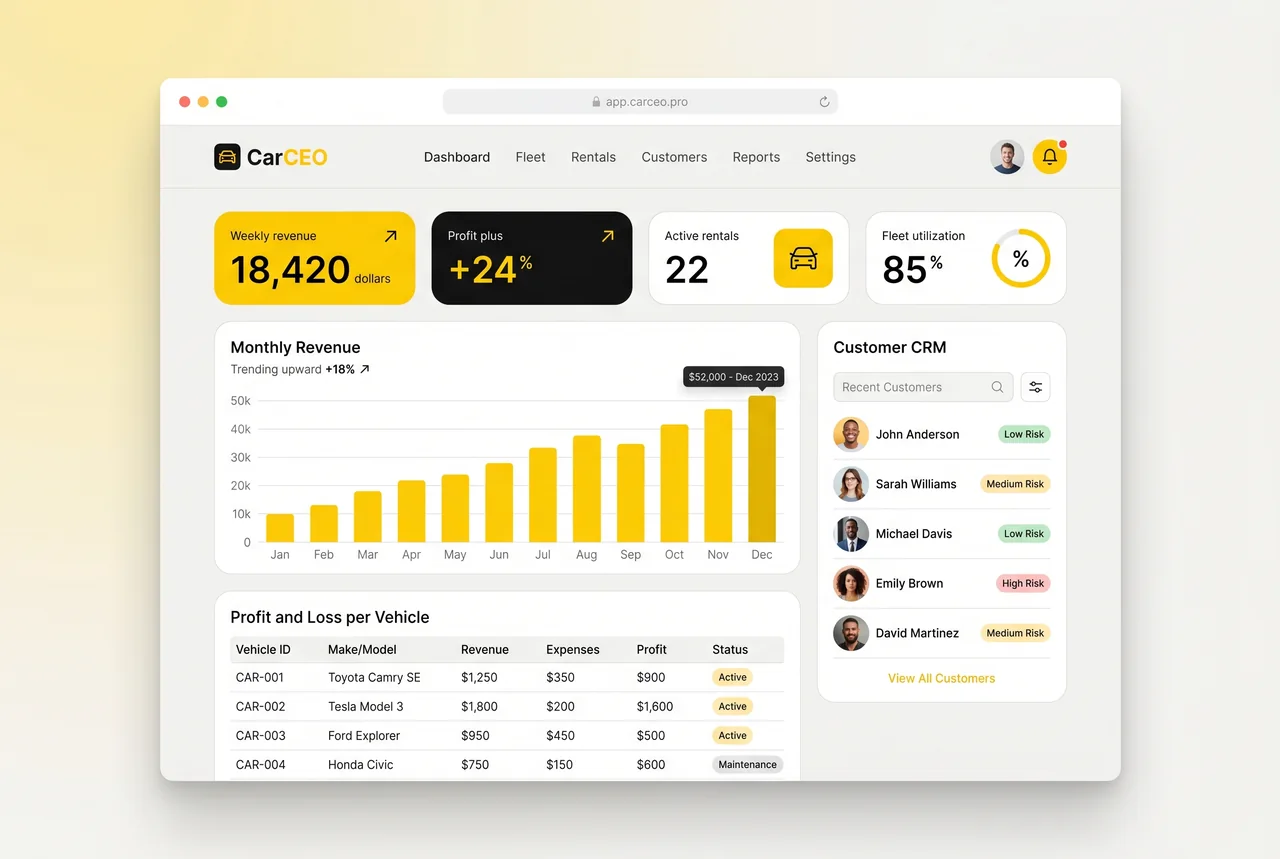 CarCEO financial reports and CRM dashboard — revenue, profit per vehicle, customer risk